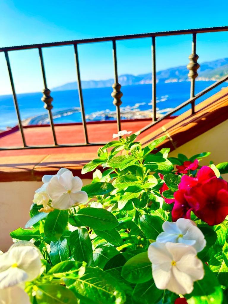 Cala Gonone House 아파트 외부 사진